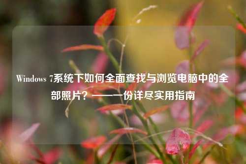 Windows 7系统下如何全面查找与浏览电脑中的全部照片？——一份详尽实用指南