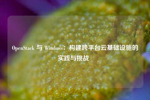 OpenStack 与 Windows:构建跨平台云基础设施的实践与挑战