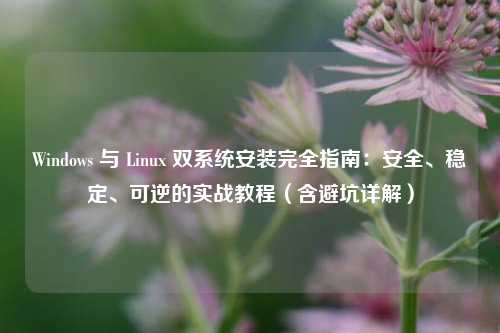 Windows 与 Linux 双系统安装完全指南：安全、稳定、可逆的实战教程（含避坑详解）