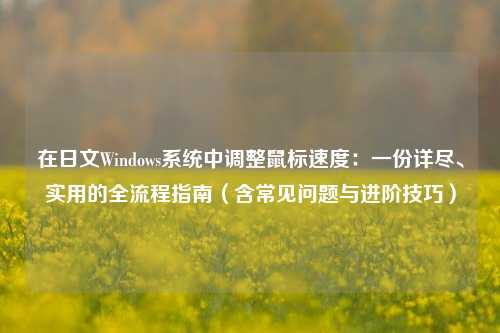 在日文Windows系统中调整鼠标速度：一份详尽、实用的全流程指南（含常见问题与进阶技巧）