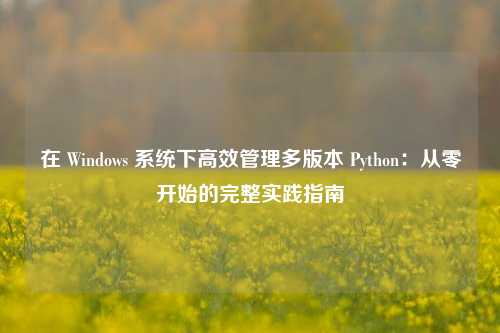 在 Windows 系统下高效管理多版本 Python：从零开始的完整实践指南