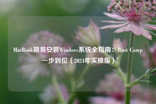 MacBook简易安装Windows系统全指南：Boot Camp一步到位（2024年实操版）