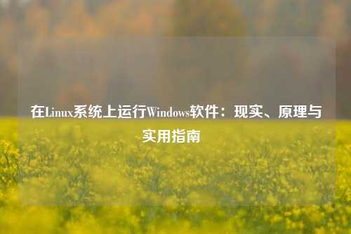 在Linux系统上运行Windows软件：现实、原理与实用指南  