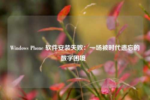 Windows Phone 软件安装失败：一场被时代遗忘的数字困境  