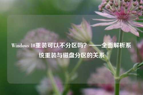 Windows 10重装可以不分区吗？——全面解析系统重装与磁盘分区的关系