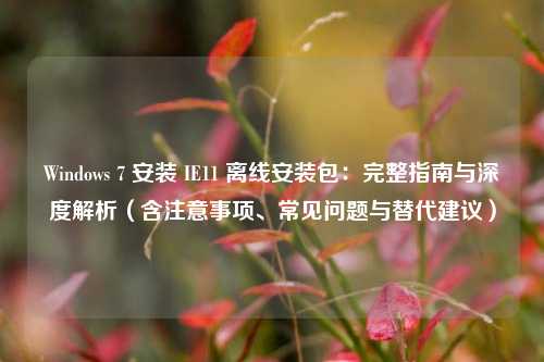 Windows 7 安装 IE11 离线安装包：完整指南与深度解析（含注意事项、常见问题与替代建议）