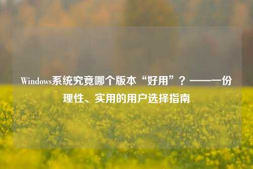 Windows系统究竟哪个版本“好用”？——一份理性、实用的用户选择指南