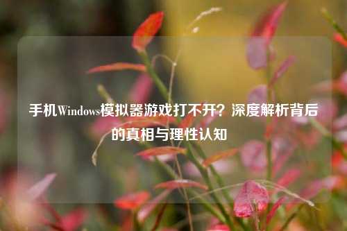 手机Windows模拟器游戏打不开？深度解析背后的真相与理性认知  