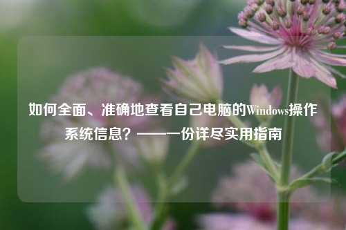 如何全面、准确地查看自己电脑的Windows操作系统信息？——一份详尽实用指南