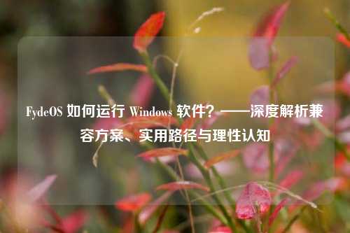 FydeOS 如何运行 Windows 软件？——深度解析兼容方案、实用路径与理性认知