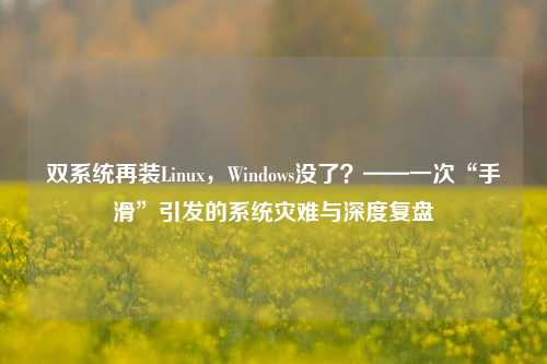 双系统再装Linux，Windows没了？——一次“手滑”引发的系统灾难与深度复盘