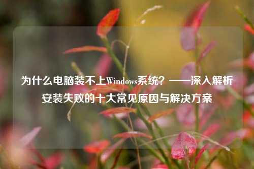 为什么电脑装不上Windows系统？——深入解析安装失败的十大常见原因与解决方案