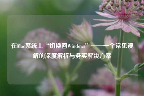 在Mac系统上“切换回Windows”——一个常见误解的深度解析与务实解决方案