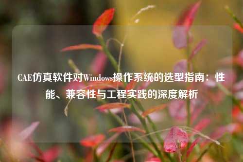 CAE仿真软件对Windows操作系统的选型指南：性能、兼容性与工程实践的深度解析