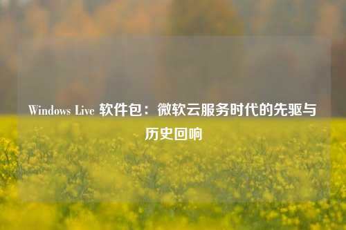 Windows Live 软件包：微软云服务时代的先驱与历史回响