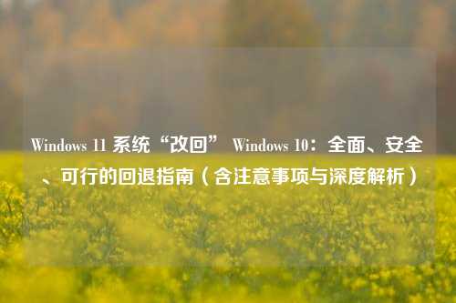 Windows 11 系统“改回” Windows 10：全面、安全、可行的回退指南（含注意事项与深度解析）