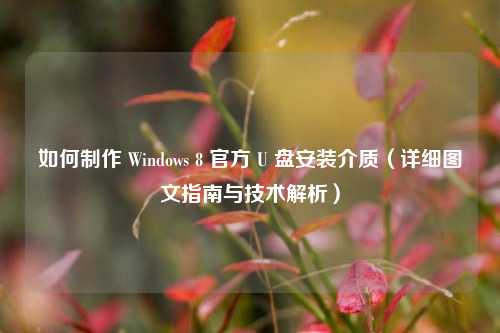 如何制作 Windows 8 官方 U 盘安装介质（详细图文指南与技术解析）