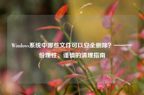 Windows系统中哪些文件可以安全删除？——一份理性、谨慎的清理指南