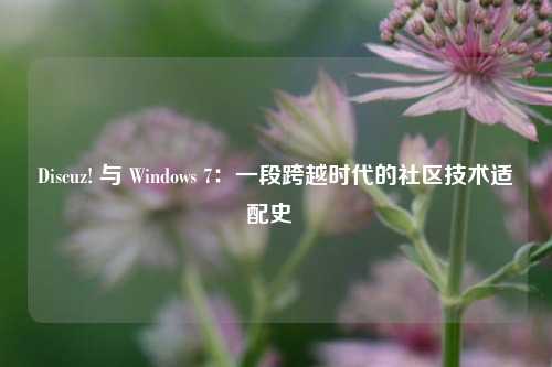 Discuz! 与 Windows 7：一段跨越时代的社区技术适配史  