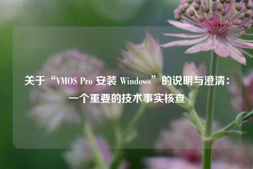 关于“VMOS Pro 安装 Windows”的说明与澄清：一个重要的技术事实核查