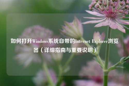如何打开Windows系统自带的Internet Explorer浏览器（详细指南与重要说明）