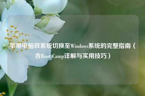 苹果电脑双系统切换至Windows系统的完整指南（含Boot Camp详解与实用技巧）