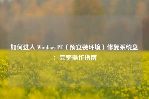 如何进入 Windows PE（预安装环境）修复系统盘：完整操作指南