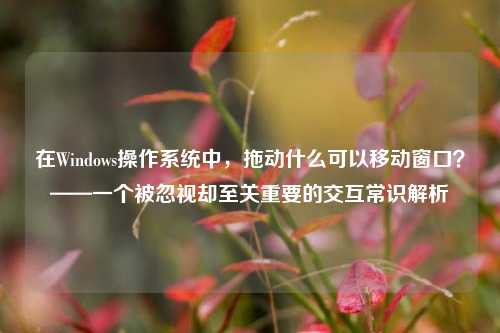 在Windows操作系统中，拖动什么可以移动窗口？——一个被忽视却至关重要的交互常识解析