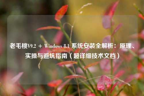老毛桃V9.2 + Windows 8.1 系统安装全解析：原理、实操与避坑指南（超详细技术文档）