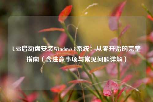 USB启动盘安装Windows 8系统：从零开始的完整指南（含注意事项与常见问题详解）
