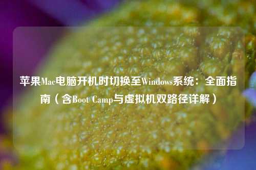苹果Mac电脑开机时切换至Windows系统：全面指南（含Boot Camp与虚拟机双路径详解）