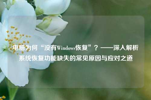 电脑为何“没有Windows恢复”？——深入解析系统恢复功能缺失的常见原因与应对之道