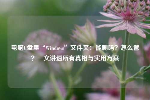 电脑C盘里“Windows”文件夹：能删吗？怎么管？一文讲透所有真相与实用方案