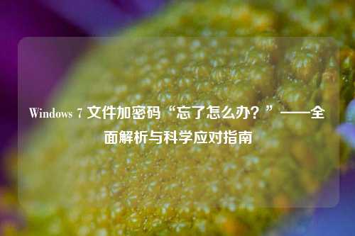 Windows 7 文件加密码“忘了怎么办？”——全面解析与科学应对指南