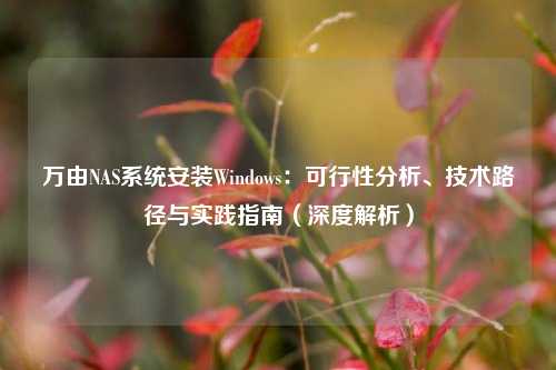 万由NAS系统安装Windows：可行性分析、技术路径与实践指南（深度解析）