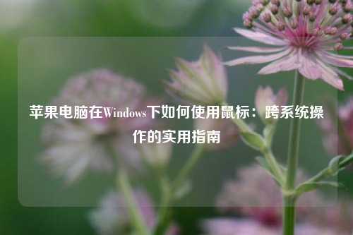 苹果电脑在Windows下如何使用鼠标：跨系统操作的实用指南