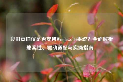 良田高拍仪是否支持Windows 11系统？全面解析兼容性、驱动适配与实操指南  