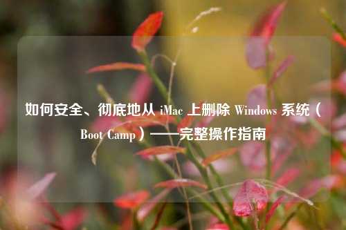 如何安全、彻底地从 iMac 上删除 Windows 系统（Boot Camp）——完整操作指南