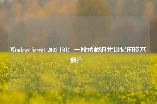 Windows Server 2003 ISO：一段承载时代印记的技术遗产  