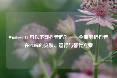 Windows 11 可以下载抖音吗？——全面解析抖音在PC端的安装、运行与替代方案