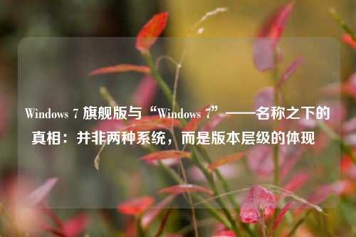 Windows 7 旗舰版与“Windows 7”——名称之下的真相：并非两种系统，而是版本层级的体现  