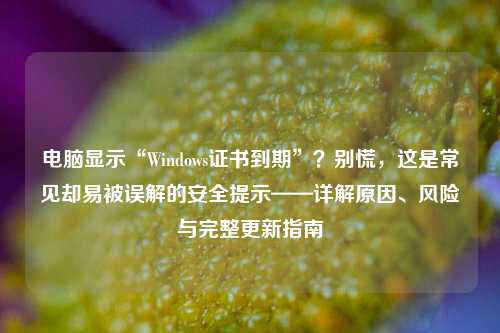 电脑显示“Windows证书到期”？别慌，这是常见却易被误解的安全提示——详解原因、风险与完整更新指南