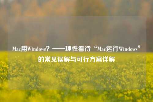 Mac用Windows？——理性看待“Mac运行Windows”的常见误解与可行方案详解