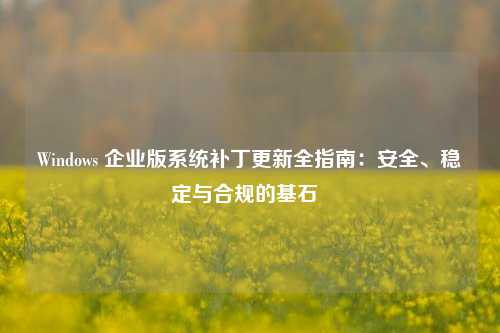 Windows 企业版系统补丁更新全指南：安全、稳定与合规的基石  