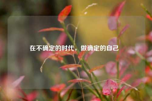 在不确定的时代,做确定的自己